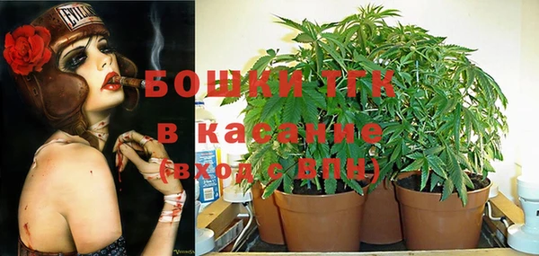 шишки Армянск