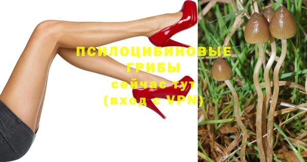 спайс Алзамай